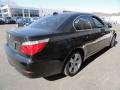 Jet Black - 5 Series 528xi Sedan Photo No. 6