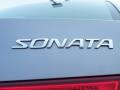 Steel Gray - Sonata LX V6 Photo No. 9