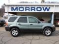 2007 Titanium Green Metallic Ford Escape XLT 4WD  photo #1