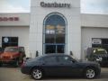 Steel Blue Metallic - Charger SE Photo No. 1