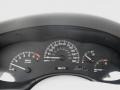Gray Gauges Photo for 2005 Chevrolet Classic #45488039