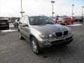 Sterling Grey Metallic - X5 3.0i Photo No. 2