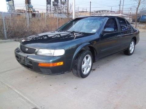 1995 Nissan Maxima SE Data, Info and Specs