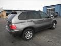 Sterling Grey Metallic - X5 3.0i Photo No. 24
