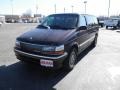 1993 Wildberry Pearl Chrysler Town & Country   photo #3