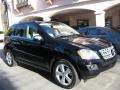 Black - ML 350 Photo No. 1