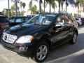 Black - ML 350 Photo No. 8