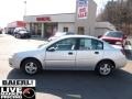 Silver - ION 1 Sedan Photo No. 4