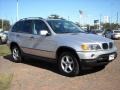 2001 Titanium Silver Metallic BMW X5 3.0i  photo #2