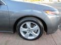 Polished Metal Metallic - TSX Sedan Photo No. 11