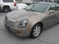 Radiant Bronze - CTS Sedan Photo No. 53