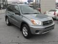 2005 Everglade Metallic Toyota RAV4   photo #4