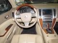 Cashmere Dashboard Photo for 2008 Cadillac STS #45524384