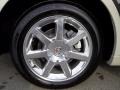 2010 Cadillac STS V8 Wheel and Tire Photo