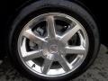 2010 Cadillac STS V8 Wheel and Tire Photo