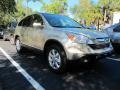 2008 Borrego Beige Metallic Honda CR-V EX-L  photo #1