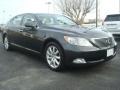 Smokey Granite Gray Mica 2009 Lexus LS 460 L AWD