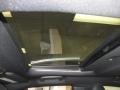 Black Sunroof Photo for 2011 Dodge Charger #45533225