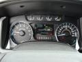 Steel Gray Gauges Photo for 2011 Ford F150 #45537382