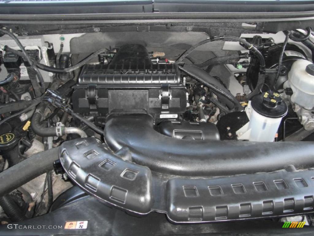 2005 Ford F150 FX4 Regular Cab 4x4 5.4 Liter SOHC 24-Valve Triton V8 Engine Photo #45541655