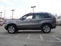 Sterling Grey Metallic - X5 4.4i Photo No. 6