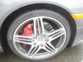 2010 Porsche 911 Carrera 4S Coupe Wheel and Tire Photo