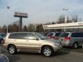 2006 Sonora Gold Metallic Toyota Highlander Hybrid Limited 4WD  photo #1