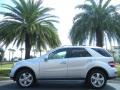 Iridium Silver Metallic - ML 350 Photo No. 1