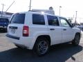 Stone White - Patriot Sport Photo No. 5