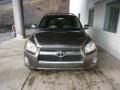 Pyrite Metallic - RAV4 Limited 4WD Photo No. 6