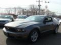 2010 Sterling Grey Metallic Ford Mustang V6 Premium Coupe  photo #3