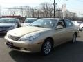 Mystic Gold Metallic - ES 300 Photo No. 3