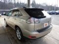 Savannah Beige Metallic - RX 330 AWD Photo No. 4