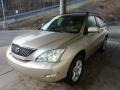 Savannah Beige Metallic - RX 330 AWD Photo No. 5