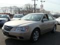 Camel Pearl - Sonata GLS Photo No. 3
