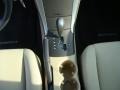 Camel Pearl - Sonata GLS Photo No. 12