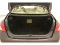Truffle Brown Mica - ES 350 Photo No. 27