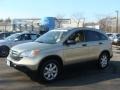 2008 Borrego Beige Metallic Honda CR-V EX 4WD  photo #1