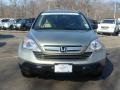 Borrego Beige Metallic - CR-V EX 4WD Photo No. 2