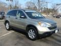 Borrego Beige Metallic - CR-V EX 4WD Photo No. 3