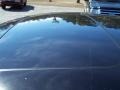Black Clearcoat - Taurus Limited Photo No. 10