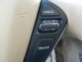 Beige Controls Photo for 2011 Nissan Murano #45569583