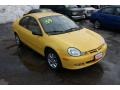 2002 Solar Yellow Dodge Neon SXT  photo #3