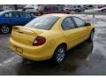 2002 Solar Yellow Dodge Neon SXT  photo #4