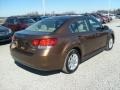 Caramel Bronze Pearl - Legacy 2.5i Premium Photo No. 11