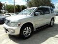 Silver Indulgence - QX 56 Photo No. 14