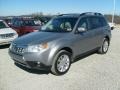 Steel Silver Metallic 2011 Subaru Forester 2.5 X Premium Exterior