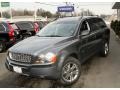 Titanium Gray Metallic - XC90 V8 AWD Photo No. 5