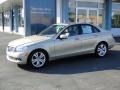 2010 Pearl Beige Metallic Mercedes-Benz C 300 Luxury  photo #6