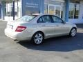 2010 Pearl Beige Metallic Mercedes-Benz C 300 Luxury  photo #11